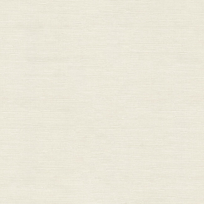 Dutch Wallcoverings Dutch Wallcoverings - FC Voyage- uni wit - Vliesbehang - 10m x 106cm - DB73739
