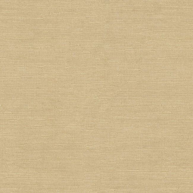 Dutch Wallcoverings Dutch Wallcoverings - FC Voyage- uni beige - Vliesbehang - 10m x 106cm - DB73740