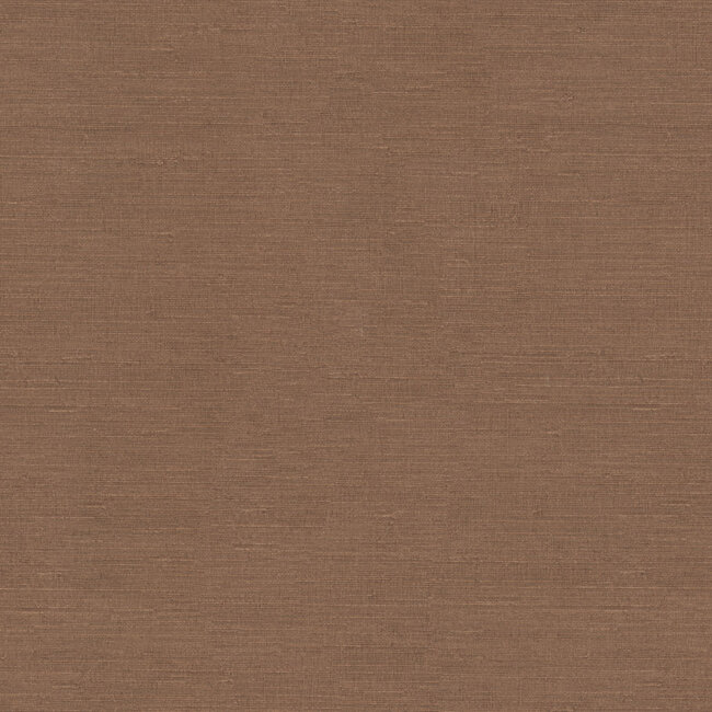 Dutch Wallcoverings Dutch Wallcoverings - FC Voyage- uni roestbruin - Vliesbehang - 10m x 106cm - DB73742
