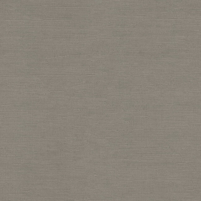 Dutch Wallcoverings Dutch Wallcoverings - FC Voyage- uni greige - Vliesbehang - 10m x 106cm - DB73745