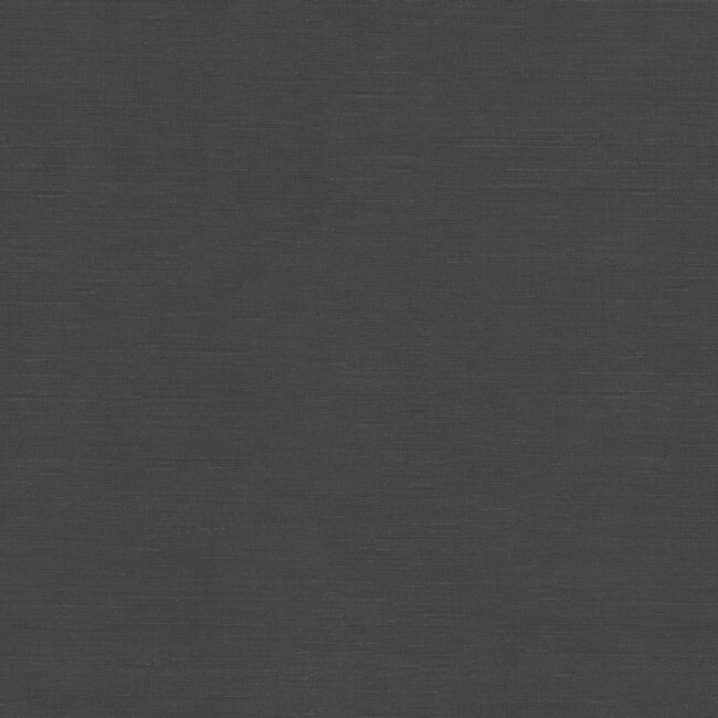 Dutch Wallcoverings Dutch Wallcoverings - FC Voyage- uni zwart - Vliesbehang - 10m x 106cm - DB73748