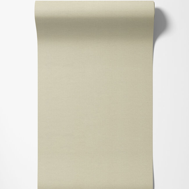 Dutch Wallcoverings Dutch Wallcoverings - FC Voyage- uni beige - Vliesbehang - 10m x 106cm - DB73764