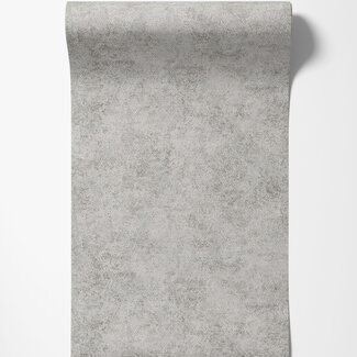 Dutch Wallcoverings Dutch Wallcoverings - FC Textura- Ophidian Grey - 66121