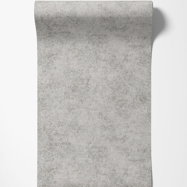 Dutch Wallcoverings Dutch Wallcoverings - FC Textura- Ophidian Grey - Vliesbehang - 10m x 53cm - 66121
