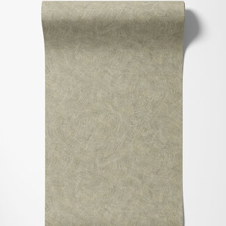 Dutch Wallcoverings Dutch Wallcoverings - FC Textura- Ondala Sage - 66172 Dutch Wallcoverings Dutch Wallcoverings - FC Textura- Ondala Sage - 66172
