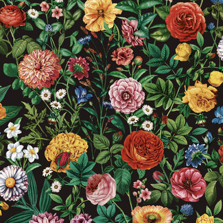 Dutch First Class Dutch First Class - Silva Essence - Silva Essence Velvet Bloom zwart - 21105