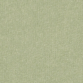 Dutch First Class Dutch First Class - Silva Essence - Silva Essence Lilt groen - 21173 Dutch First Class Dutch First Class - Silva Essence - Silva Essence Lilt groen - 21173