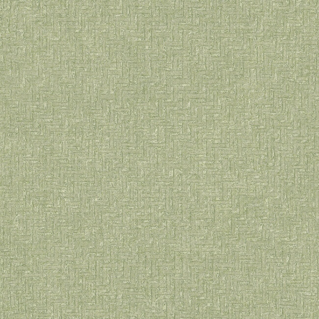 Dutch First Class Dutch First Class - Silva Essence - Silva Essence Lilt groen - Vliesbehang - 10m x 53cm - 21173