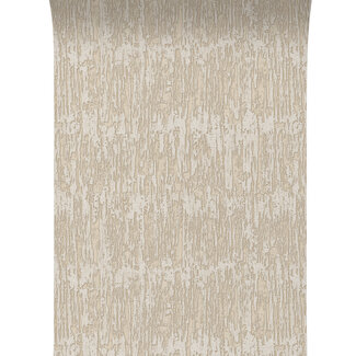 Dutch Wallcoverings Dutch Wallcoverings - Santa Fé Natural slate Beige - SA524032