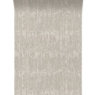 Dutch Wallcoverings Dutch Wallcoverings - Santa Fé Natural slate Taupe - SA524033