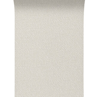 Dutch Wallcoverings Dutch Wallcoverings - Santa Fé Natures Weave Off White - SA524051
