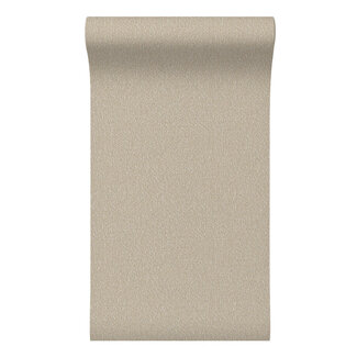 Dutch Wallcoverings Dutch Wallcoverings - Santa Fé Natures Weave Beige - SA524054