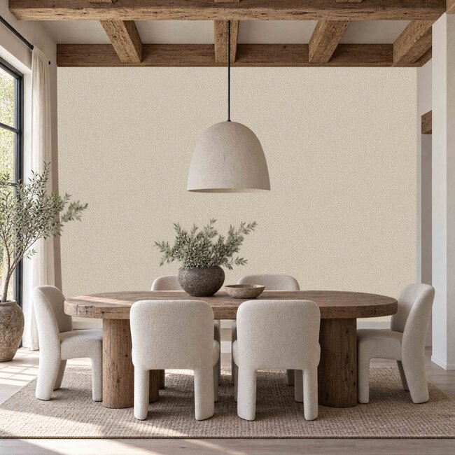 Dutch Wallcoverings Dutch Wallcoverings - Santa Fé Natures Weave Beige - Vliesbehang - 10m x 53cm - SA524054
