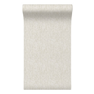 Dutch Wallcoverings Dutch Wallcoverings - Santa Fé Concrete Off White - SA524071