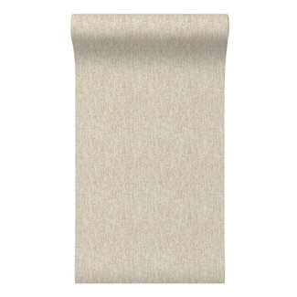 Dutch Wallcoverings Dutch Wallcoverings - Santa Fé Concrete Beige - SA524072