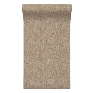 Dutch Wallcoverings Dutch Wallcoverings - Santa Fé Concrete Bronze - SA524076