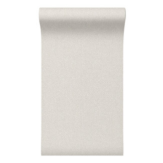 Dutch Wallcoverings Dutch Wallcoverings - Santa Fé Basket Weave Off White - SA524091