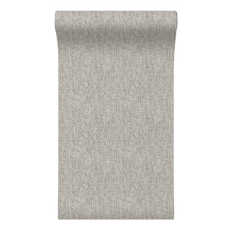 Dutch Wallcoverings Dutch Wallcoverings - Santa Fé Concrete Light Grey - SA524073