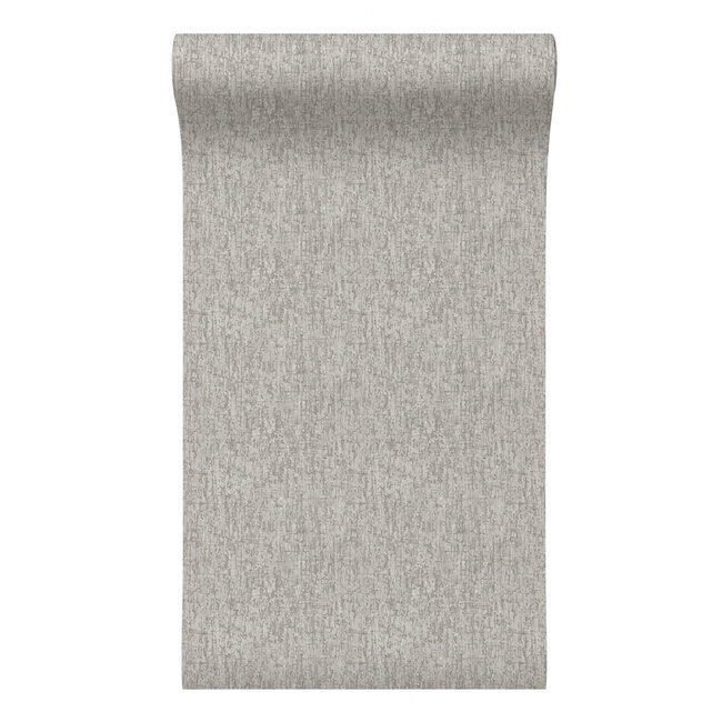 Dutch Wallcoverings Dutch Wallcoverings - Santa Fé Concrete Light Grey - Vliesbehang - 10m x 53cm - SA524073