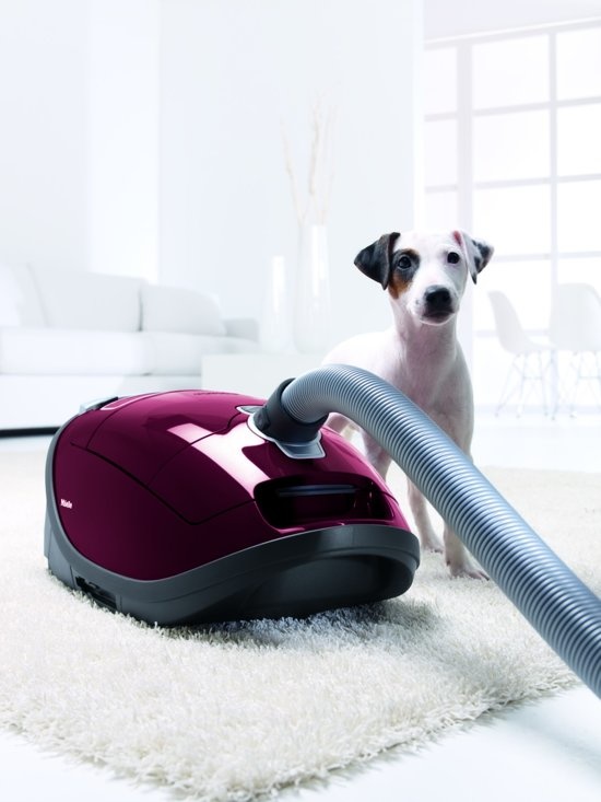Miele Complete C3 Cat&Dog PowerLine SGEF3 Stofzuiger met zak