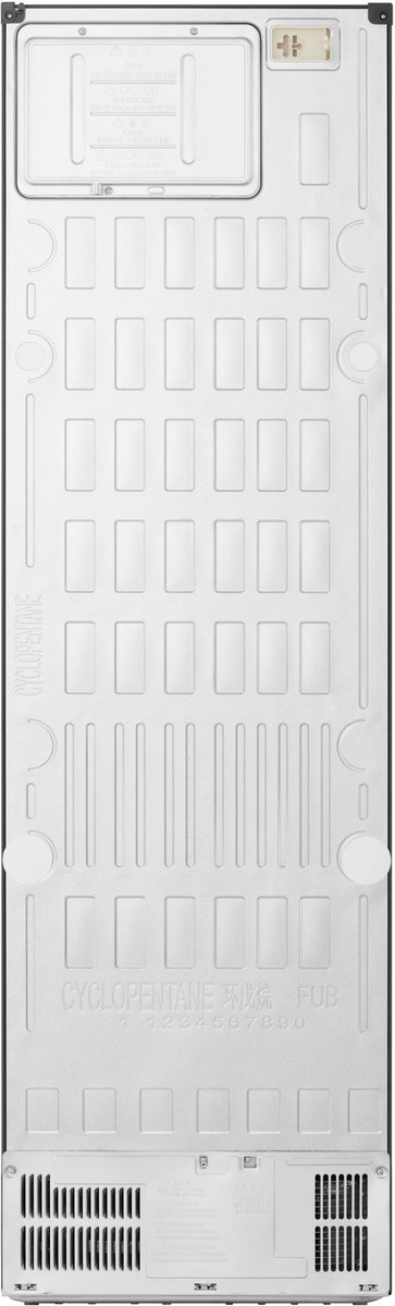 LG GBBS322CPY - Koel-vriescombinatie