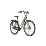 Gazelle Esprit T3  Dames Pistache Green Mat