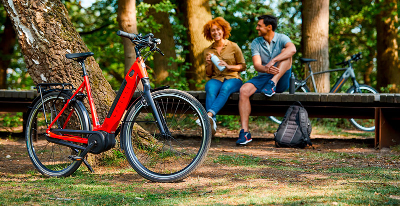 Welke elektrische fiets kopen?