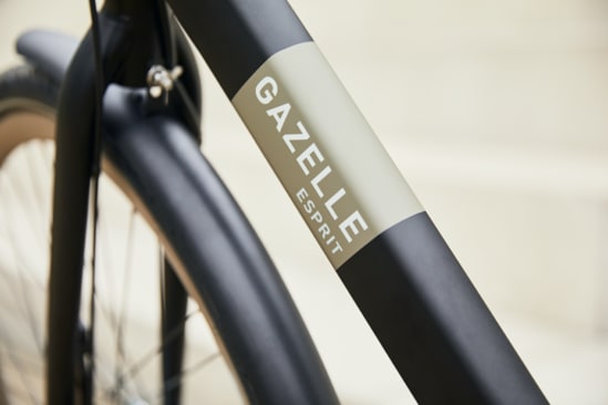 Gazelle Esprit T3 Dames - Avalon Blue Mat