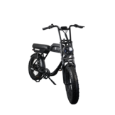 AGM Fatbike GT250 Elektrische fiets 614 Wh
