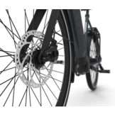 Gazelle Ultimate C5 HMB BELT 500Wh Heren Anthracite grey (mat)