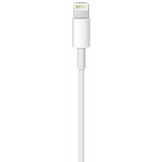 Apple Lightning to USB Cable 1 Meter
