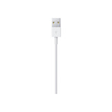 Apple Lightning to USB Cable 1 Meter