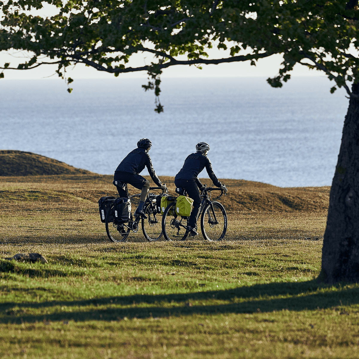 Thule Shield fietstas 25L 2 stuks zwart