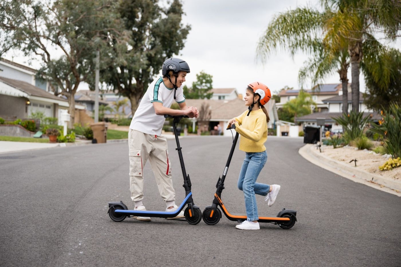 SEGWAY-NINEBOT Kickscooter C2 Pro E