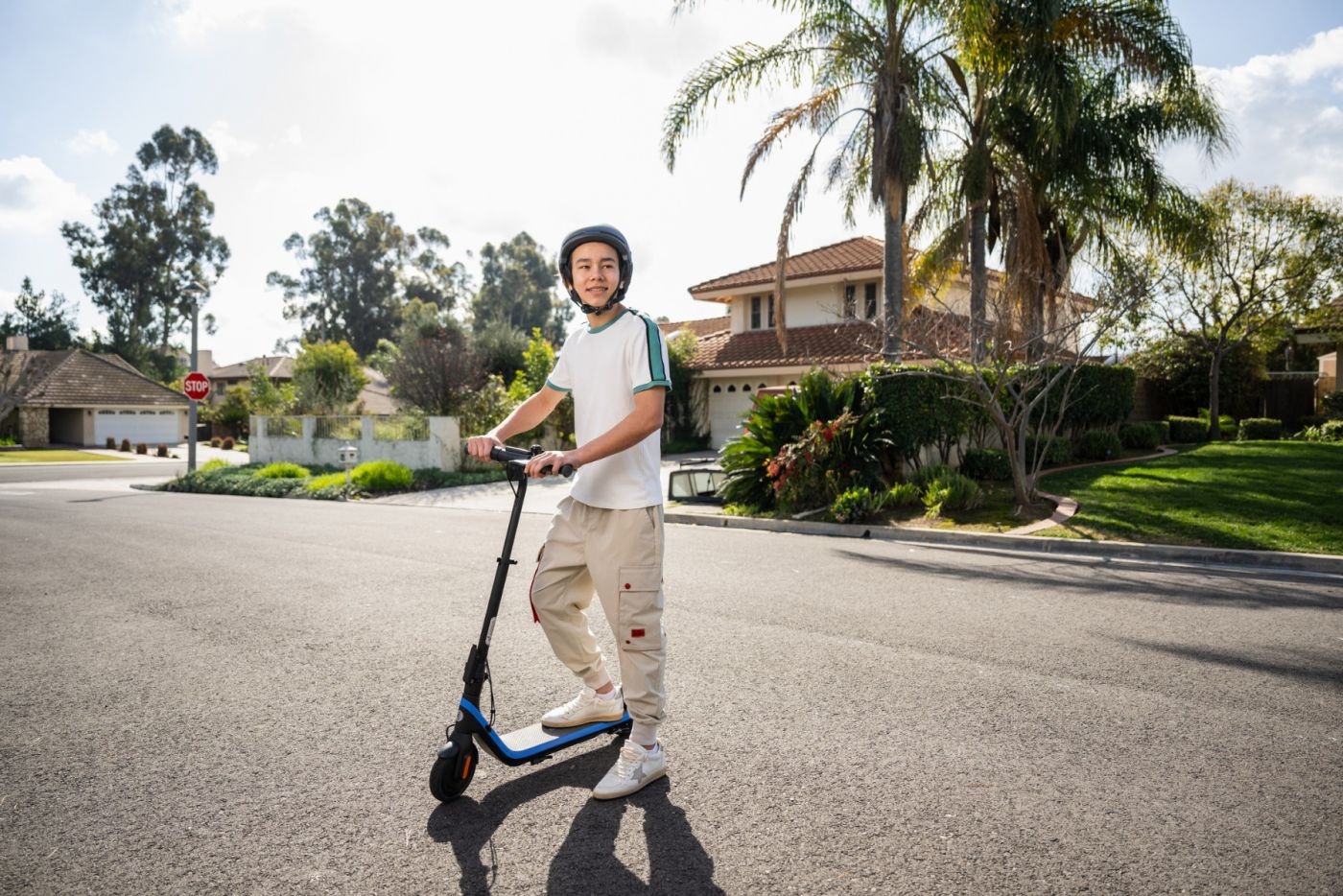 SEGWAY-NINEBOT Kickscooter C2 Pro E