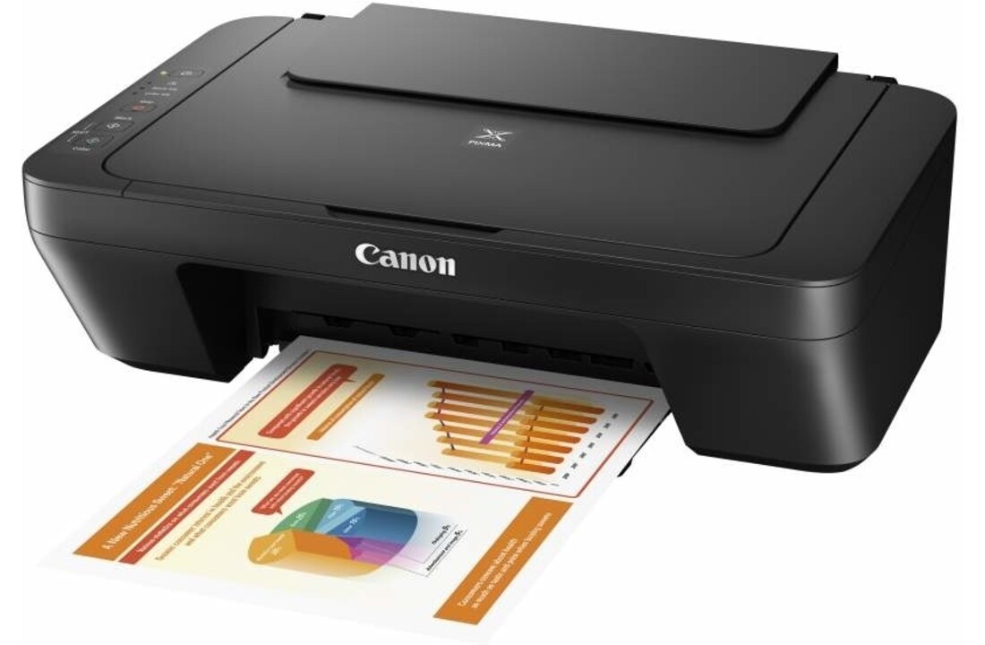 Canon PIXMA MG2550S - Printer