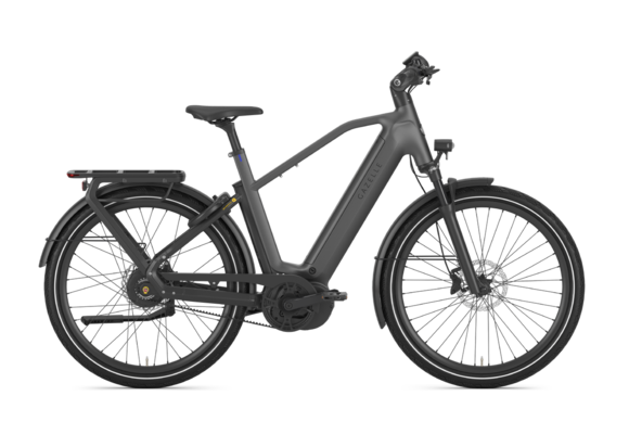 Gazelle Eclipse C380 HMB 750Wh Heren - Anthracite grey mat