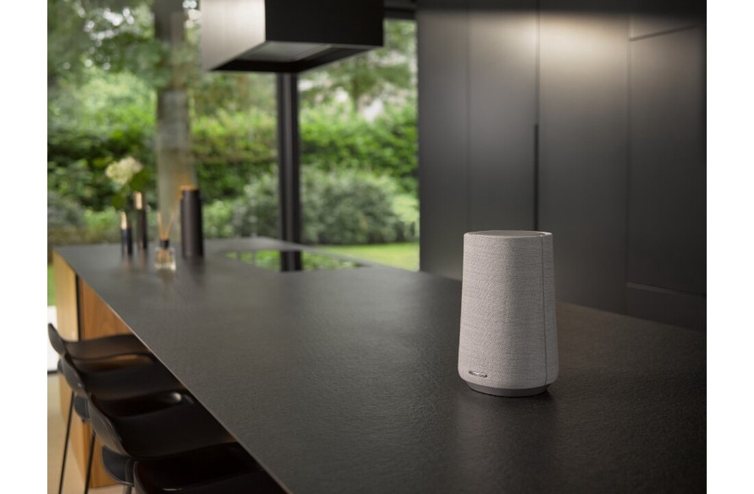 Harman Kardon Citation 100 MKII Grijs - Draadloze speaker