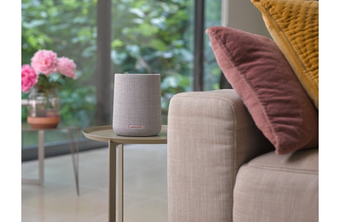 Harman Kardon Citation 100 MKII Grijs - Draadloze speaker