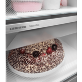 Liebherr FNd 4625 Plus - Vrieskast.