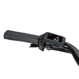 Batavus Altura E-go BES3 400wh - dames - zwart