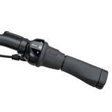 Batavus Finez E-go Power Exclusive BES3 DN8 500Wh Dames - zwart glans