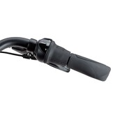 Batavus Fonk DN7 dames - zwart glans