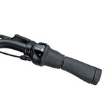 Batavus Senz Comfort DN7 dames - blauwzwart