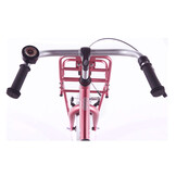 Alpina Cargo meisjesfiets 18 inch Berry Red Matt