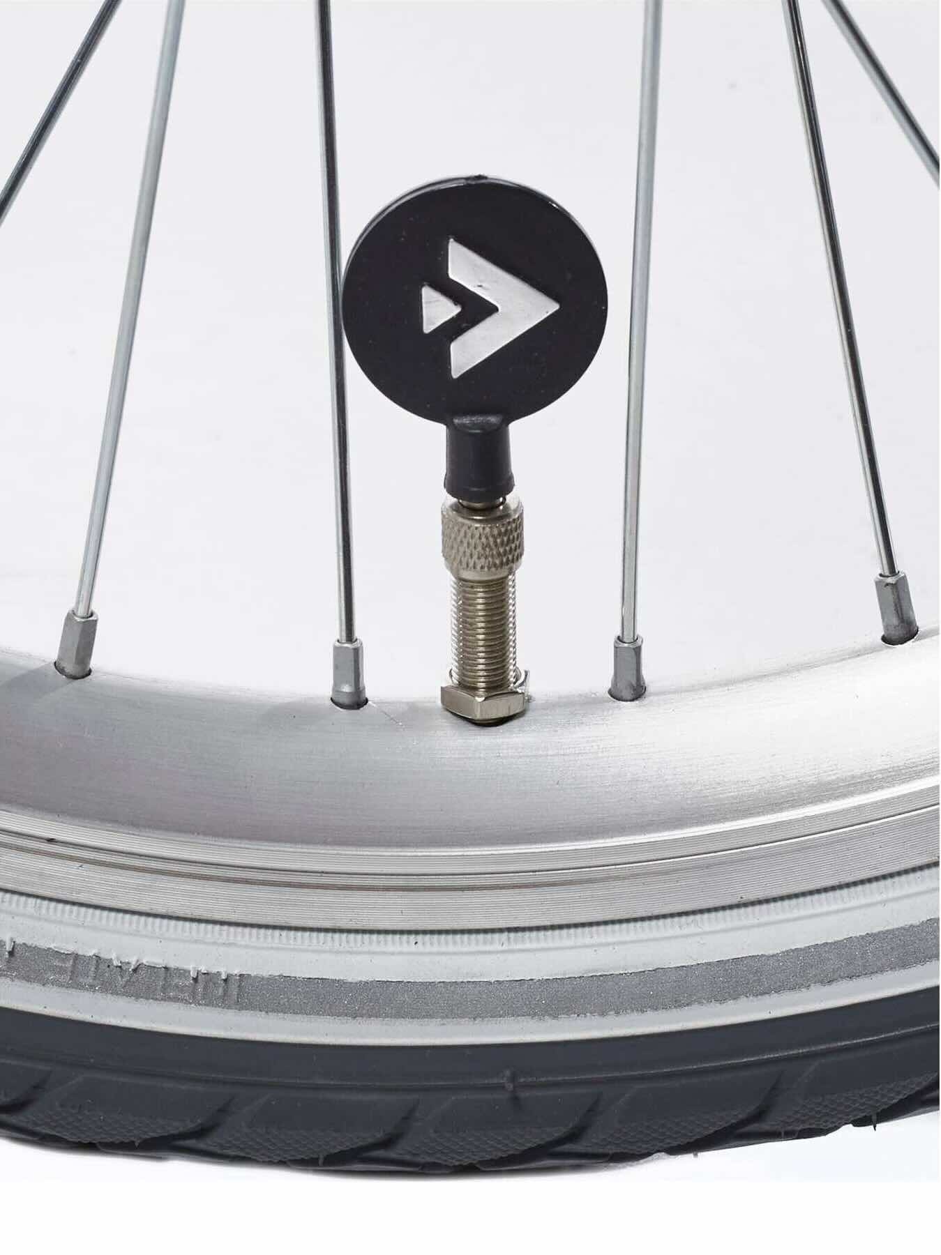 Alpina Clubb meisjesfiets 22 inch Rose Gold Matt