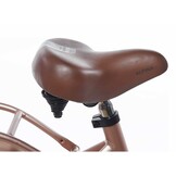 Alpina Clubb meisjesfiets 22 inch Rose Gold Matt