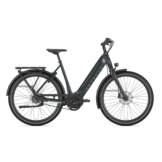 Gazelle Ultimate C8 HMB S8 500 Wh Dames - Pine Green (glans)