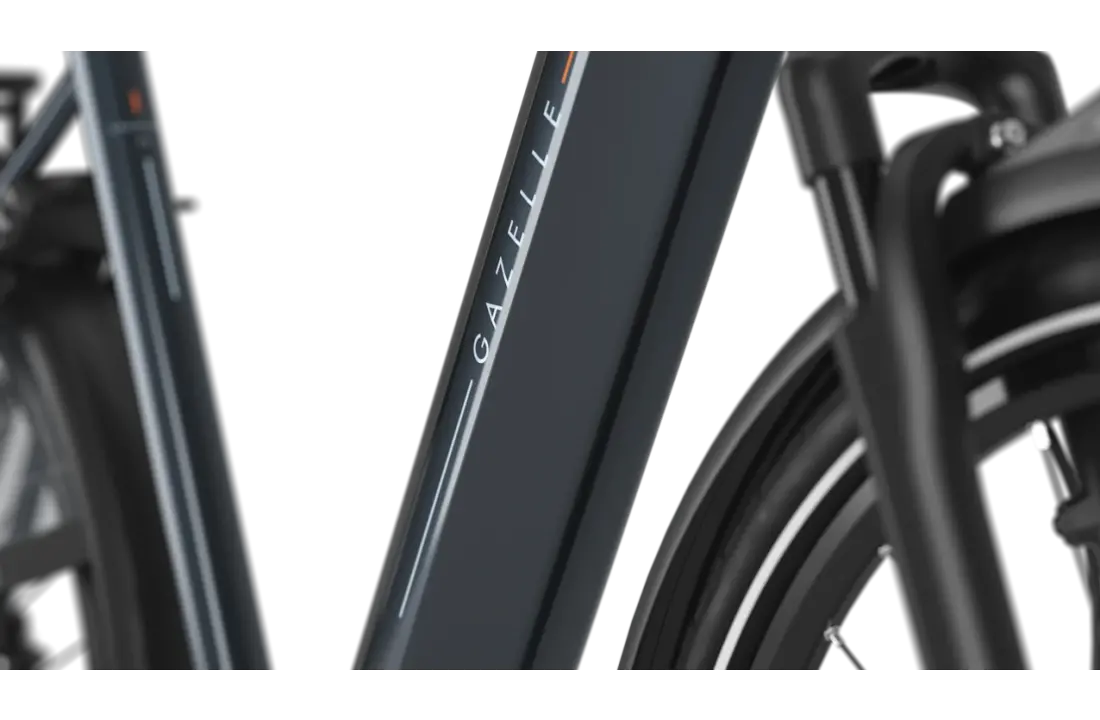 Gazelle Grenoble 3.0 C5 HMB Dames - Anthracite Grey (glans)