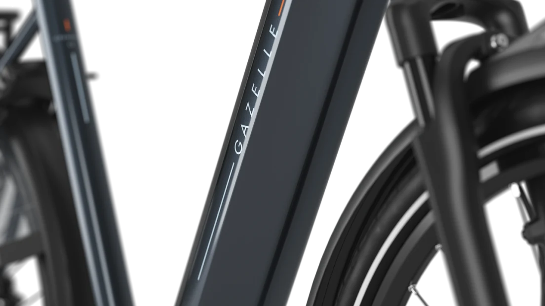 Gazelle Grenoble 3.0 C5 HMB  Dames - Anthracite Grey (glans)